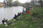 Výsledky závodů dospělých Syrovice 2013